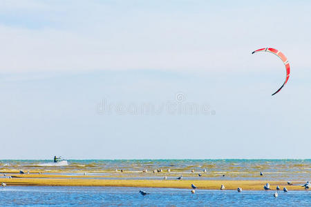 天空 美女 海景 假期 行动 自由 乐趣 风筝板 运动 冲浪