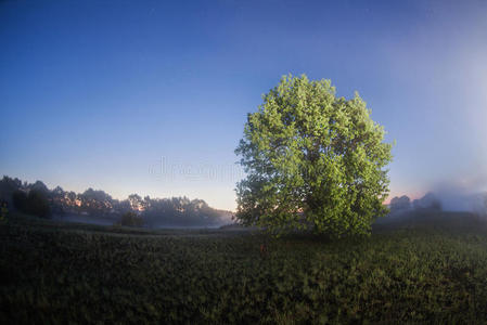 照亮 美丽的 陨石 黄昏 早晨 风景 黎明 孤独的 自然