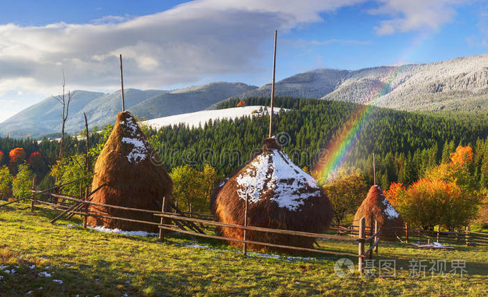 喀尔巴阡山 阿尔卑斯山 森林 颜色 秋天 环境 寒冷的 风景