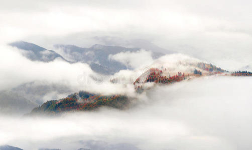 美丽的 风景 薄雾 公园 小山 伟大的 国家的 高地 早晨