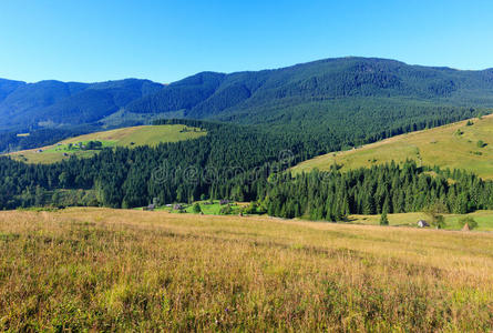 自然 乌克兰 假期 村庄 季节 山腰 斜坡 风景 干草 夏天