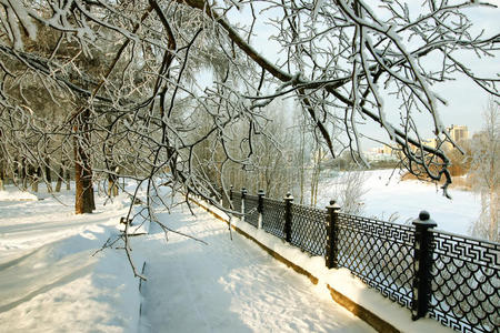 篱笆覆盖着雪冬公园