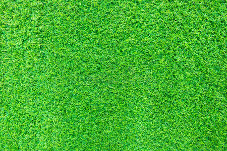 自然深绿色背景青草.背景纹理.新鲜的春草.