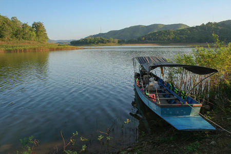 旅游业 风景 泰国 森林 美女 自然 秋天 国家的 公园