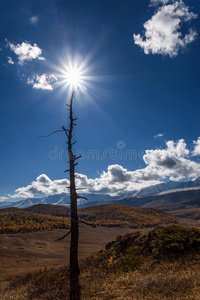 岩石 自然 森林 秋天 风景 天空 太阳 美丽的 高地 丘陵