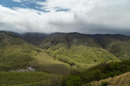 济州岛 山顶 日光 旅行 目的地 南方 亚洲 风景 树叶