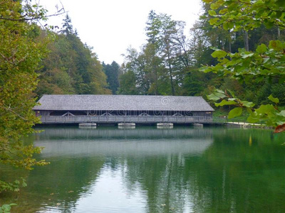 雷拉 国家的 风景 美丽的 落下 巴伐利亚 内湖 自然 森林