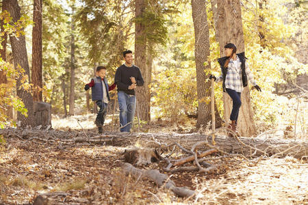 在森林里树上平衡的女孩看着父亲和兄弟