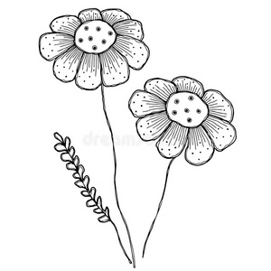 花的 着色 黛西 树叶 自由 涂鸦 轮廓 卡通 插图 花园