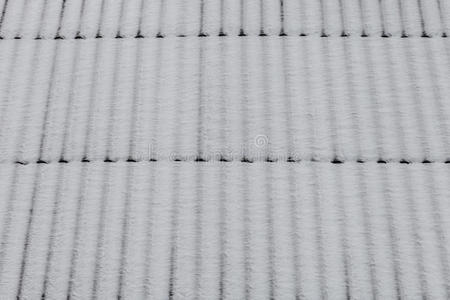 寒冷的 一月 暴风雪 建筑学 屋顶 古老的 建设 自然 形象