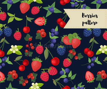 纳图 颜色 浆果 要素 樱桃 黑莓 蓝莓 美味的 食物 偶像