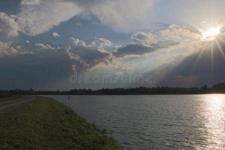 美丽的 克劳 早晨 森林 秋天 地平线 全景图 反射 美好的