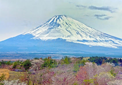 自然 斜坡 季节 公园 亚洲 日本 观光 反射 日本人 攀登