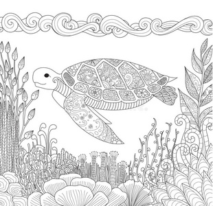 海洋 波西米亚 轮廓 爬行动物 艺术 签名 素描 自然 珊瑚