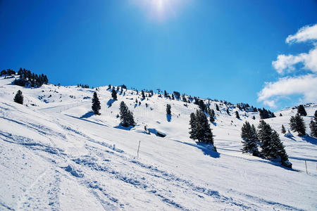 圣诞节 运动 闲暇 太阳 滑雪 活动 假期 回旋 求助 欧洲