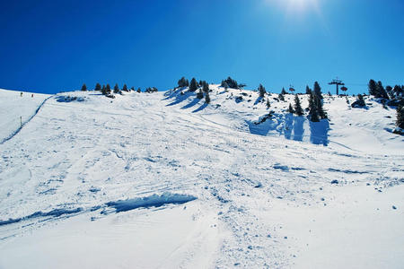 滑雪 假期 举起 活动 旅行 圣诞节 森林 冒险 回旋 求助