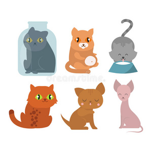 猫猫矢量字符照片