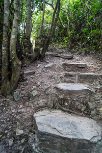 一条石路