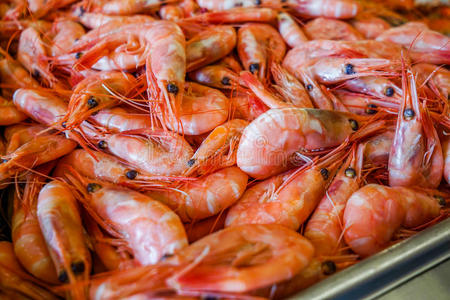 新鲜虾壳照片