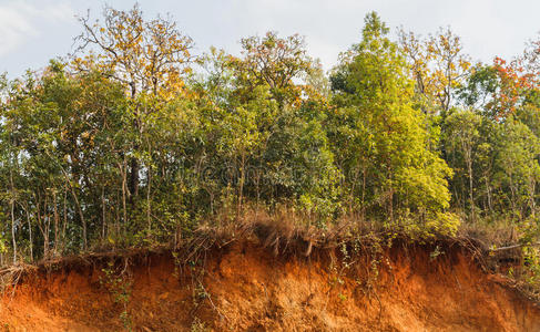 领域 侵蚀 自然 草坪 灾难 流动的 亚洲 挖掘 重的 危险