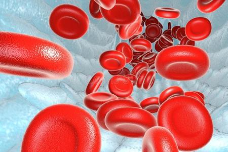血管有红细胞