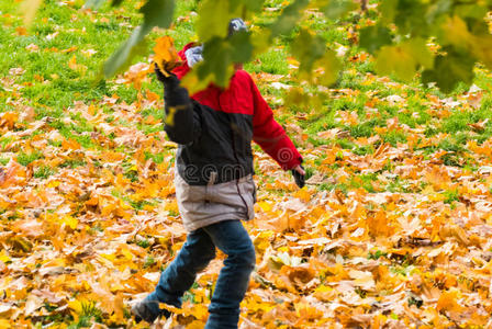 秋天，男孩在树的庇护下玩耍，一个人离开了