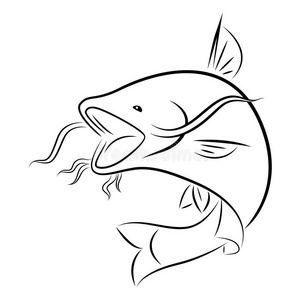 图形鲶鱼,矢量照片