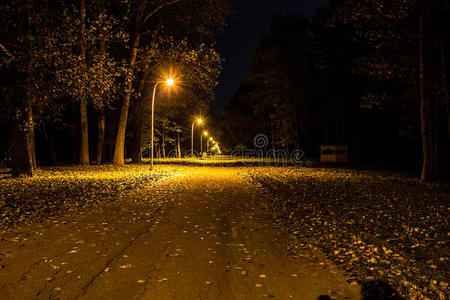 秋天的夜晚 风景图片图片