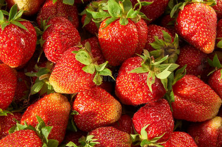 甜点 甜的 种子 水果 美味的 特写镜头 健康 草莓 果味的