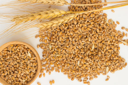 小麦和小麦小穗的谷物. 上面的风景照片