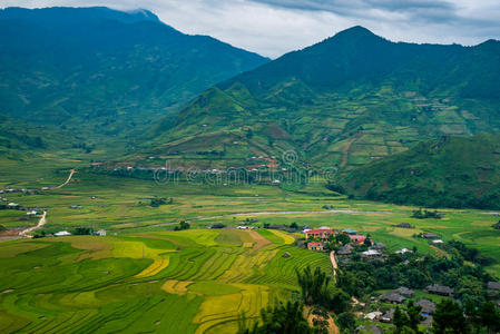 风景 自然 房子 植物 曲线 目的地 老挝语 农事 种植园