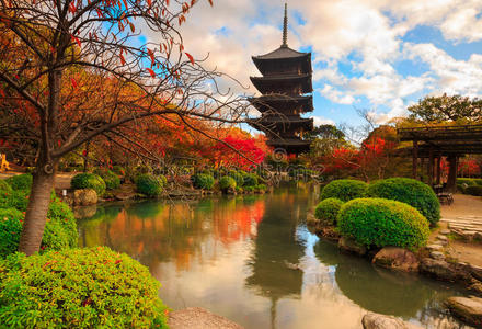 日本 圣地 秋天 京都 樱桃 宗教 目的地 旅行 佛教 美丽的