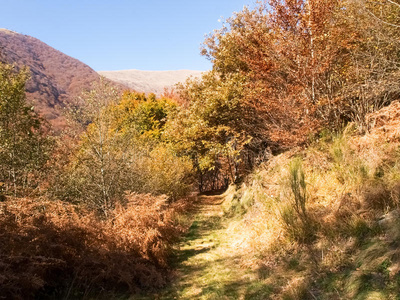 徒步旅行 伟大的 冒险 日出 太阳 日落 乡村 风景 公园