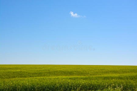 夏天的蓝天，白云和绿草的背景