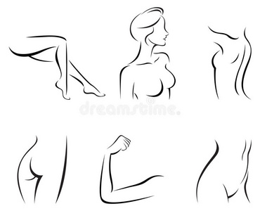 胸部曲线图片-胸部曲线素材-胸部曲线插画-摄图新视界