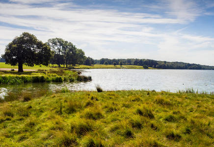 飞机 公园 植物 湿地 水库 牧场 小径 风景 湖水 反射