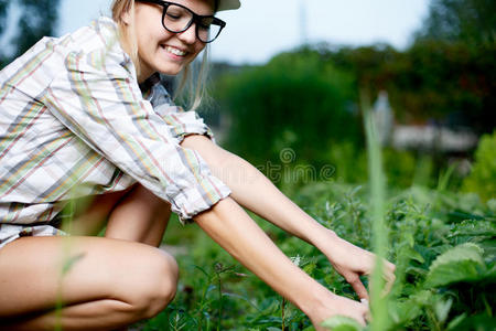 开朗的年轻女孩农民照顾植物