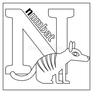 学习 小孩 字母表 性格 哺乳动物 艺术 有趣的 幼儿园