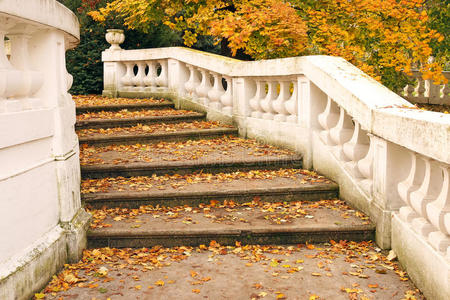 自然 落下 楼梯 建筑学 古老的 树叶 秋天 台阶 季节