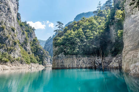 假日 森林 岩石 自由 罗马人 风景 颜色 环境 冒险 自然