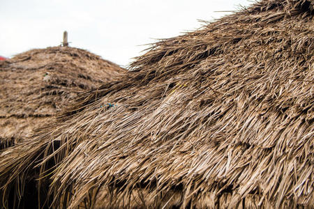 古老的 刀片 稻草 材料 干草 小屋 文化 建设 叶片 茅草