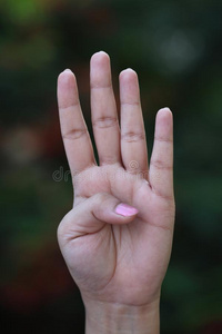 四根手指母手伸出四个手指四根手指女人的手-四个手指女性手展示与