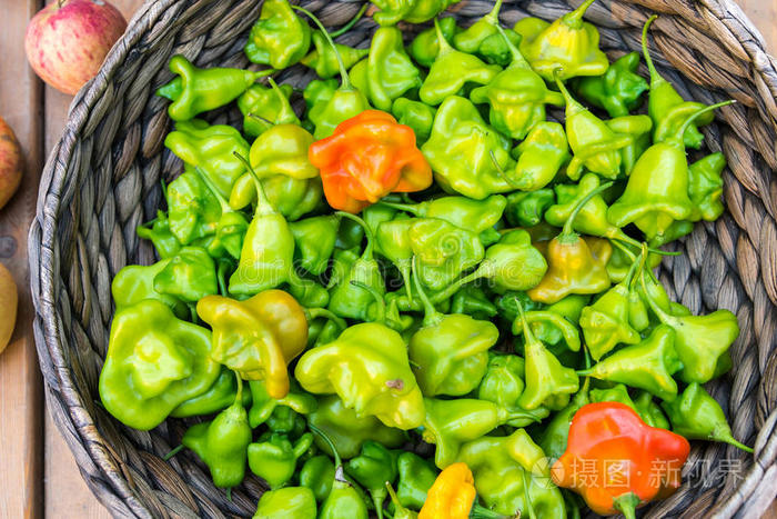 落下 烹调 季节 健康 辣椒粉 沙拉 营养 植物 农场 花园