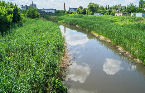 夏季景观