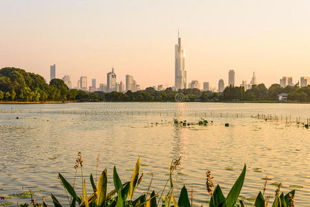 植物 旅行 风景 高的 南京 场景 建筑 中国人 地区 旅游业