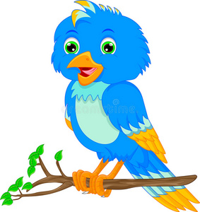 可爱的小鸟卡通照片