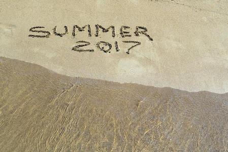 自然 季节 夏天 颜色 假日 海岸 特写镜头 旅行 签名