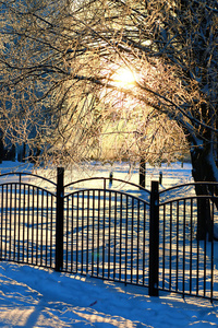 篱笆覆盖着雪冬公园
