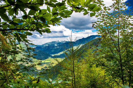 风景 生态系统 总和 林业 环境 小山 生态学 奥地利 公园