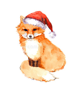 穿着红色圣诞老人帽子的圣诞狐狸。 水彩画